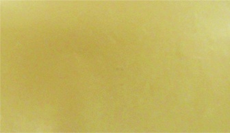 Plain Matte Gift Wrap, 10m