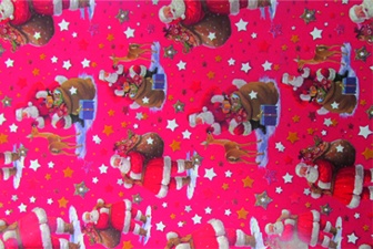 Printed Gift Wrap, 10m