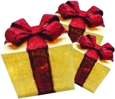 Illuminated Gold Mesh Gift Boxes, 20-30cm