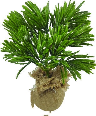 Potted Plant, 26cm
