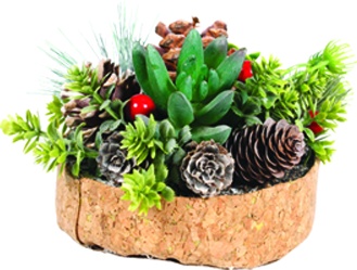Pinecone Arrangement, 13cm