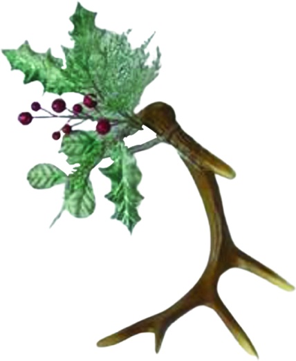 Adorned Antler Horn, 30.5cm