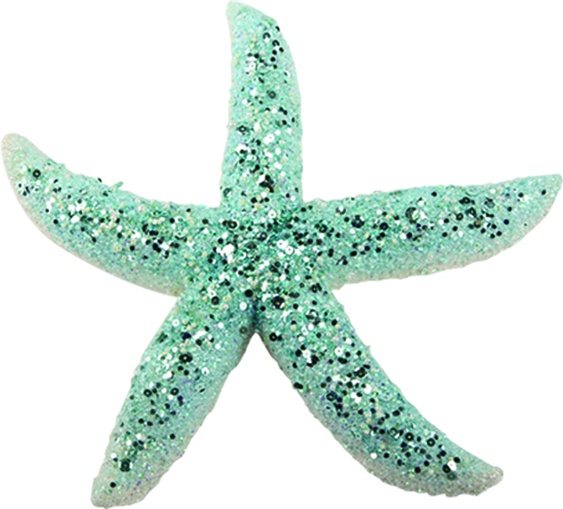 Starfish, 30cm