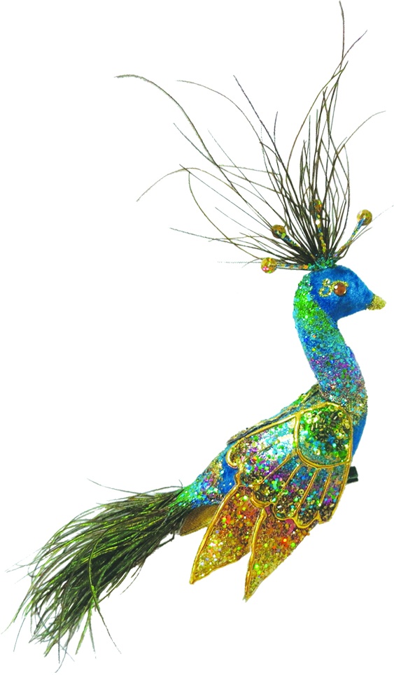Ornate Peacock, 25cm