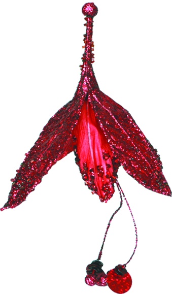 Lady's Ear Drop, 25cm