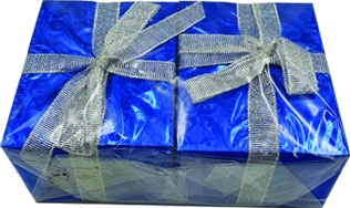Gift Box Double Bow, 9.5cm
