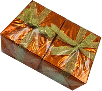 Gift Box Double Bow Foil, 9.5cm