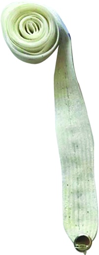 Glittered Belt Ribbon, 3m
