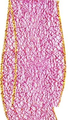 Mesh Ribbon, 9.1m