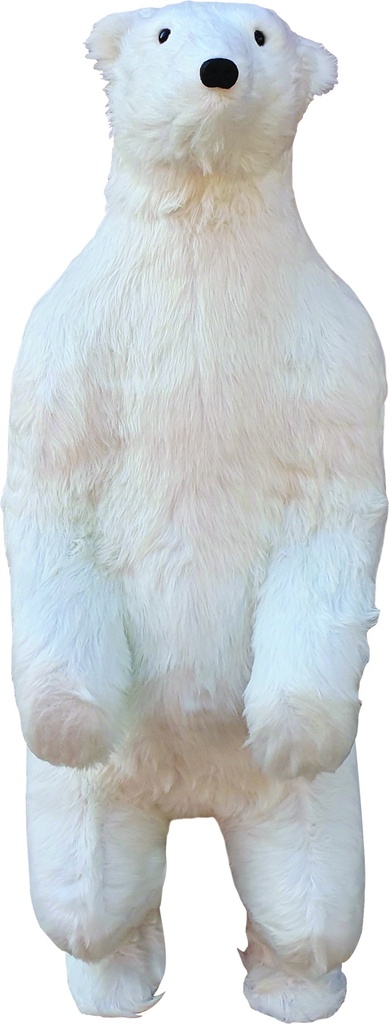 Little Polar Bear, 1.6m