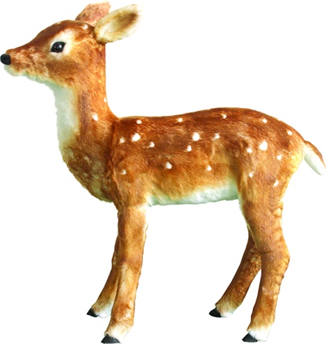 Spotted Baby Deer, 82m