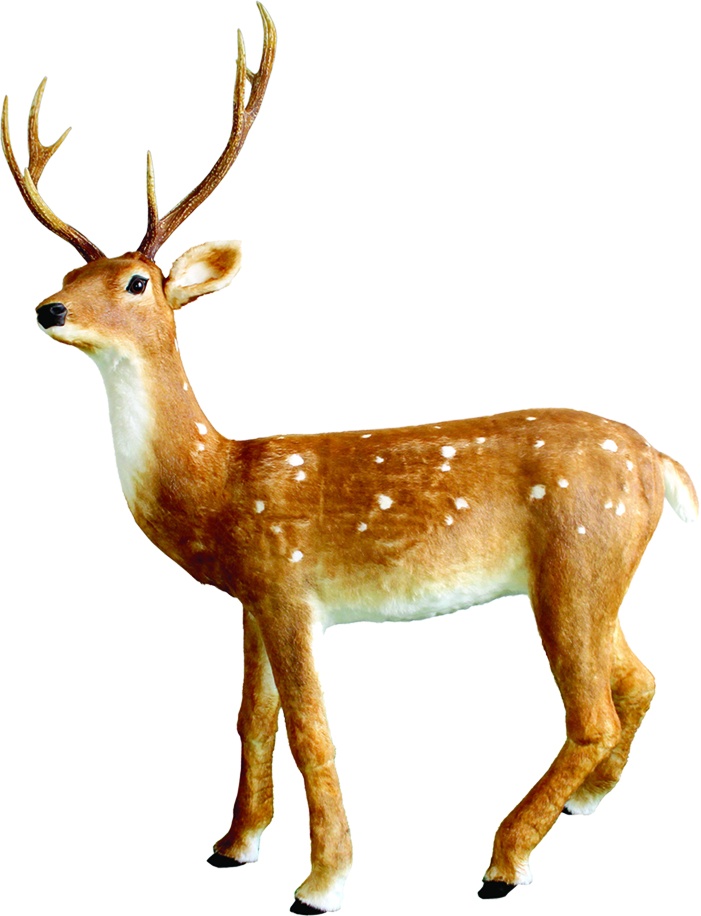 Spotted Reineer with Antlers, 1.68m