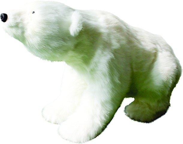 Polar Bear, 96cm
