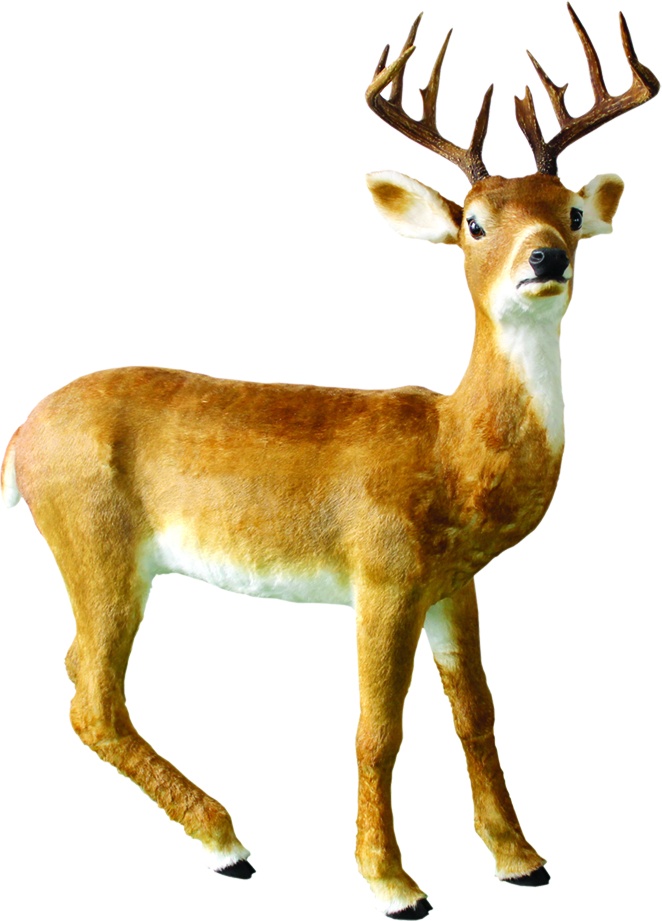 Reindeer with Antlers, 1.48m
