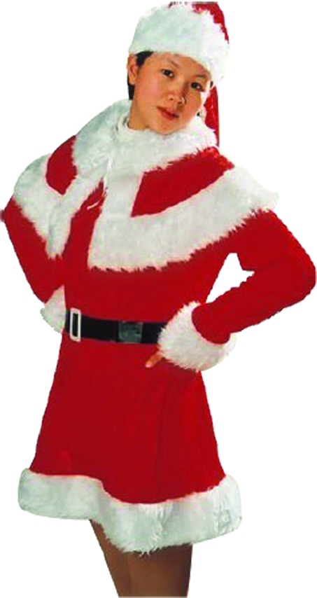 Ladies Santa Outfit