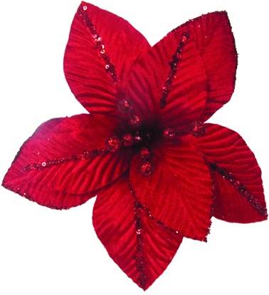 Glittered Poinsettia, 25cm