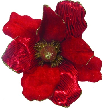 Glittered Poinsettia, 20cm