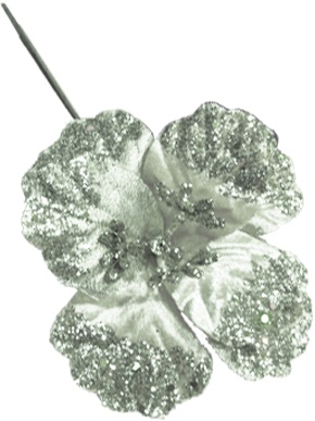 Glittered Poinsettia, 16cm
