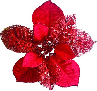 Poinsettia, 24cm
