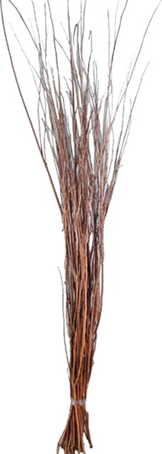 Twig Bundle Natural Spray, 80cm