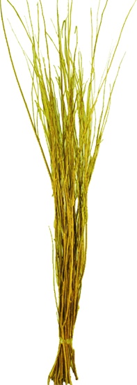 Twig Bundle Natural Spray, 80cm