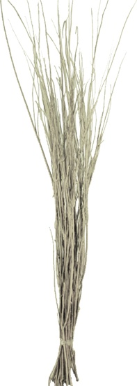 Twig Bundle Natural Spray, 80cm