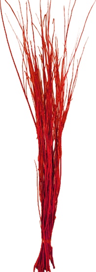 Twig Bundle Natural Spray, 80cm