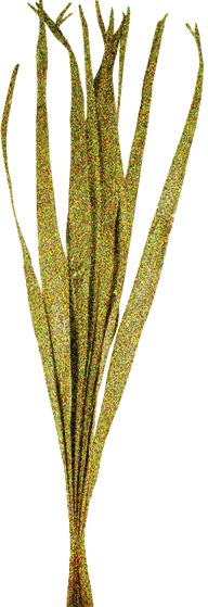 Glittered Dried Palm Leaves, 95cm