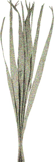 Glittered Dried Palm Leaves, 95cm