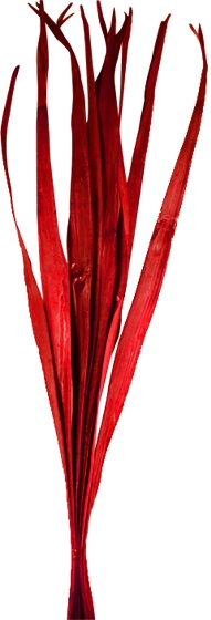 Dried Palm Blade Fan, 95cm