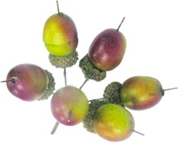 Acorn Pick, 5cm