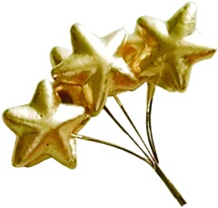 Star Pick, 4.5cm