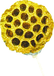 Glittered Lotus Pod with Stem, 5cm
