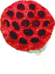 Glittered Lotus Pod with Stem, 5cm
