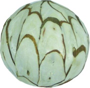 Sola Chip Ball, 10cm