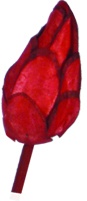Sola Litchu with Stem, 3cm