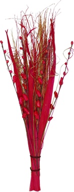 Berry Loop Sticks