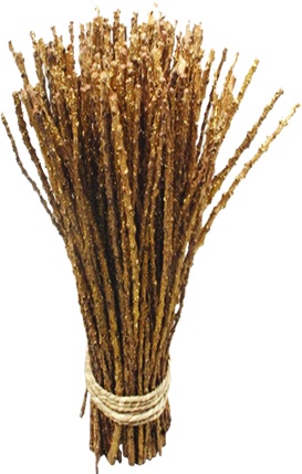 Dried Sticks, 1m