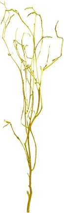 Barren Branches Metallic Twig, 1m