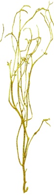 Glittered Twig Barren Branches, 1m