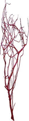 Glittered Curled Barren Branches, 1m