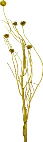 Twig Bundle with Pinecones Spray