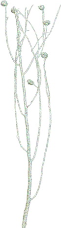 Glittered Icy Twig Bundle with Pinecones