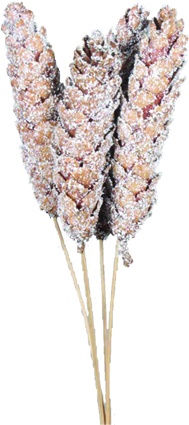 Frosted Strobus Spray