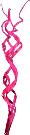 Coco Vine Curl