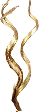 Glittered Coco Rustic Lazer Curl