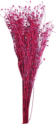 Tishi Grass, 25cm