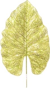 Leaf Pick, 43cm