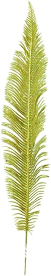 Slim Leaf Pick, 56cm