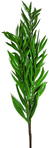 Leaf Spray, 64cm